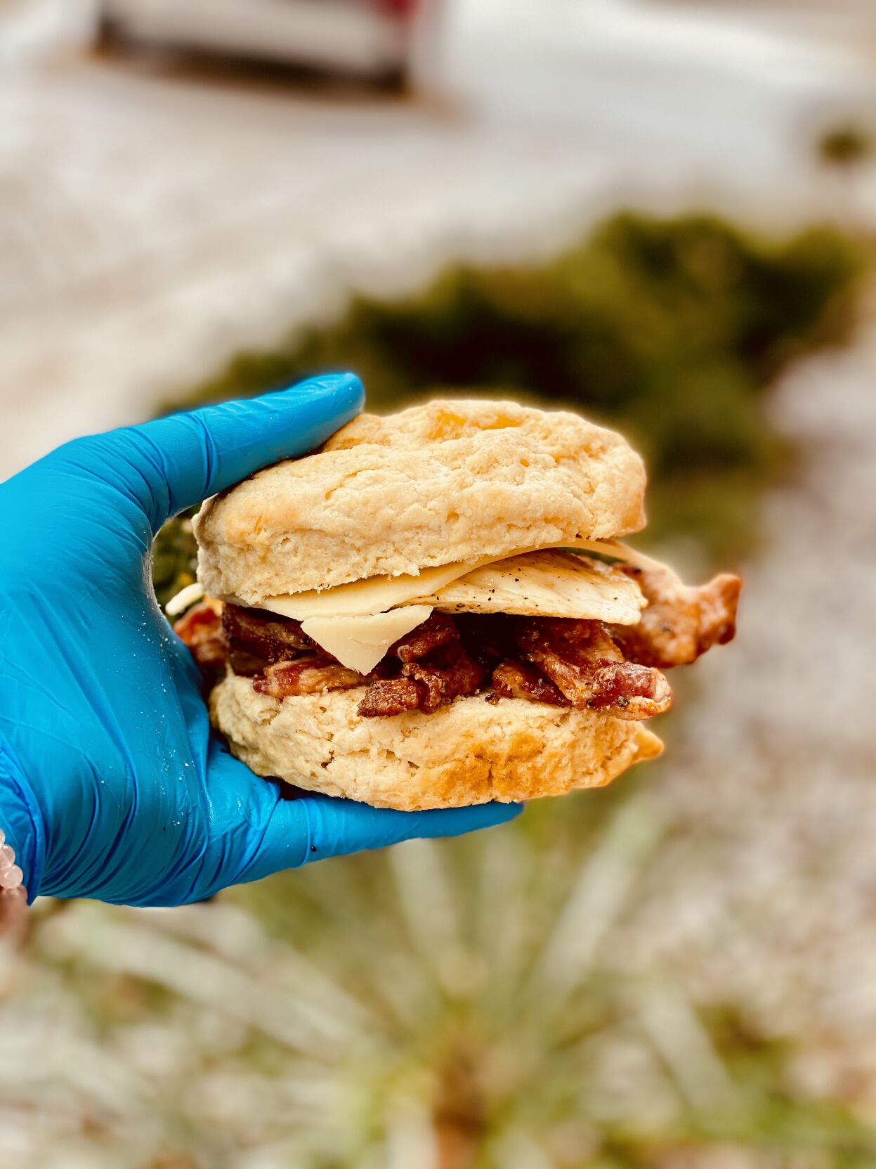 ma and pa's biscuit sammiches momma boogie